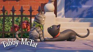 Tabby McTat Has a Crush🩷 @GruffaloWorld Compilation