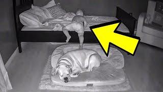 Camera captures little boy getting out of bed to sleep with his dog