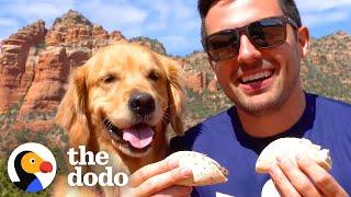 This Man and His Dog Are Pro Taste Testers  The Dodo Soulmates