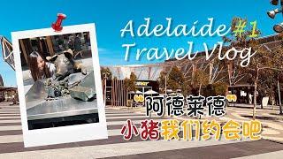 Vlog Adelaide Trip #1 Different between Adelaide and Sydney  阿德莱德，与小猪一起约会哦 Eng Sub