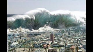 The Indian Ocean Tsunami