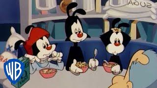 Animaniacs  The Worlds Most Boring Man  Classic Cartoon  WB Kids