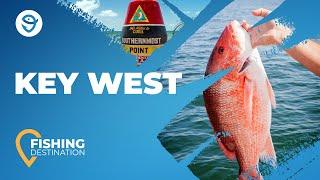 Fishing in Key West Complete Guide  FishingBooker