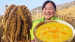 Xia Jie in northern Shaanxi Xia Jies millet has a bumper harvest  threshing and threshing  and b