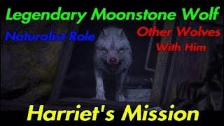 Legendary Moonstone Wolf RDR2 Online  Naturalist Role Mission