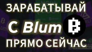 КАК ЗАРАБОТАТЬ ДЕНЬГИ НА BLUM ПРЯМО СЕЙЧАС? AIRDROP БЛУМ ЛИСТИНГ НА БИРЖУ ДРОП ТОКЕНА ВЫВЕСТИ КОЙН