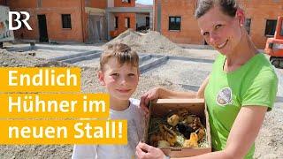 Hühnerhaltung Küken am Pflüglerhof #16  Mega Baustelle Ein Bauernhof zieht um  Unser Land  BR