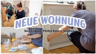 NEUE WOHNUNG IKEA Shopping Möbel aufbauen Küche einräumen