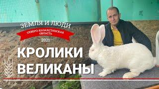 Земля и люди #7 Кролики-великаны Дмитрия Лапицкого