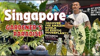 Discover Singapore’s Exotic Plant Community and Market Botanica Exotica Aroid Competition