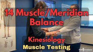 MUSCLE TESTING - 14 MuscleMeridian Balance from Touch for Health Kinesiology