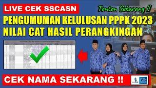 LIVE CEK SSCASN PENGUMUMAN KELULUSAN PPPK 2023 DAN NILAI CAT HASIL PERANGKINGAN