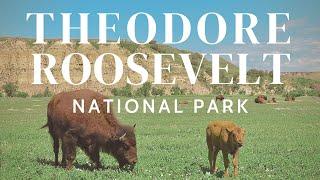 THEODORE ROOSEVELT NATIONAL PARK  South Unit & Wildlife Loop  USA road trip & travel vlog