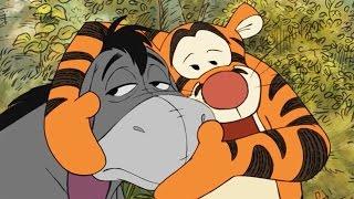 Tigger And Eeyore  The Mini Adventures of Winnie The Pooh  Disney