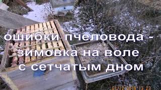 ошибки пчеловода  - зимовка пчел на воле с сетчатым дном