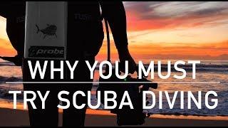 WHY YOU MUST TRY SCUBA DIVING - Tom Park