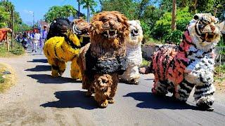 The Best Of 2024  Asmr lion dance and drumband parades in the village