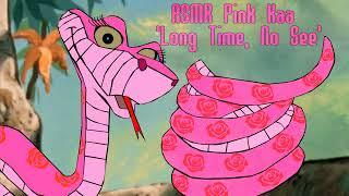 ASMR Pink Kaa - ‘Long Time No See’ 