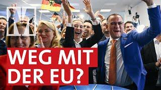 Feindbild EU Der Osten nach der Europawahl - MONITOR