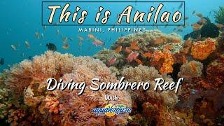 This is Anilao  Diving Sombrero Island Reef