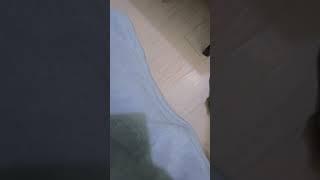 Feet Video  Indian Feet Vlog  Feet Care  Feet Beauty  Sumankavitafeet