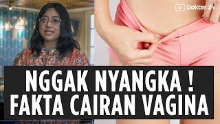 Dokter 24 - Nggak Nyangka  Fakta Cairan Vagina 