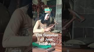 The Gamelan of Java Indonesia #puspobudoyo