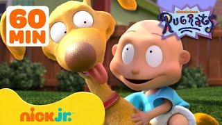 Rugrats Best Pet Rescues  w Spike Chuckie Phil & Lil  1 Hour Compilation  Nick Jr.