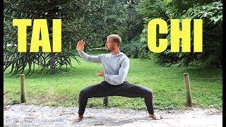 Tai Chi FREE LESSON  20 Min Tai Chi Routine  Daily Taiji Practice