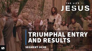 Jesus Rides a Donkey on Palm Sunday  The Life of Jesus  #30