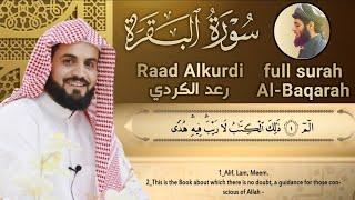 سورة البقرة كاملة للقارئ رعد الكردي  full surah Al Baqara ـRaad Alkurdi