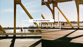 Film Comparison Fuji C200 vs Kodak Gold 200