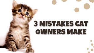 Cat Owners Beware 3 Common Mistakes Youre Making #Shorts