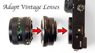 How To Use Vintage Lenses With Your Mirrorless Camera