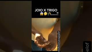 JOIO X TRIGO  #hinos #hinosevangélicos #louvores #adoração #gospel #louvoresdeadoração