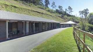 Dog Boarding Kennels - Gold Coast Pet Resort  Midtown Pet Centre