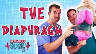 Operation Ouch - The Diaphragm  Science for Kids