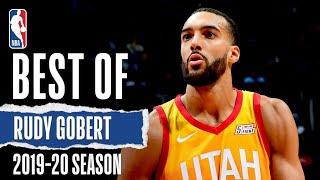 Rudy Gobert 2019-20 Full Season Highlights