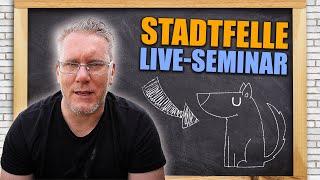 Verrückt & genial REVIEW zum Stadtfelle Seminar in Bayern