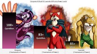 Bergamo VS Basil VS Lavender All Forms Power Levels