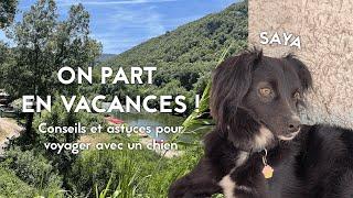 Partir en vacances avec un chien   Vlog