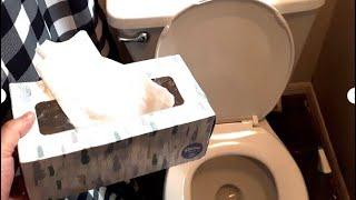 Can you FLUSH Facial Tissue Down the Commode Instead of Toilet Paper Kleenex Puffs Scotties