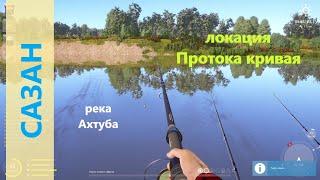 Русская рыбалка 4 - река Ахтуба - Сазан под другим берегом