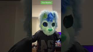 Reuploaded from TikTok The Qualities of a Wolfo