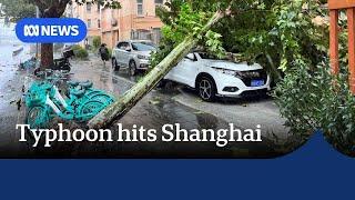 Shanghai hit by strongest storm in 75 years Typhoon Bebinca  The World