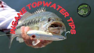 The Secret to Catching Monster Bass INSANE Topwater Bass Fishing #fishing #bassfishing #fishingtips