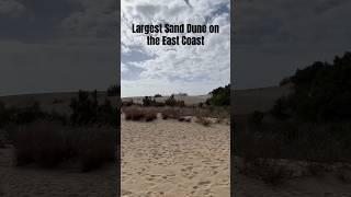 Largest Sand Dune on the East Coast #travel #obx #outerbanks