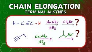 Chain Elongation via Alkylation of Terminal Alkynes