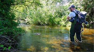 I Found a Forgotten River STACKED With Big Fish