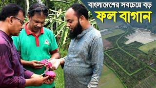 924-এবার দেখুন বাংলাদেশের সবচেয়ে বড় ফল বাগান- র.ই মানিক চিত্রপুরী। R.I.Manik.Chitrapuri Krishichitra